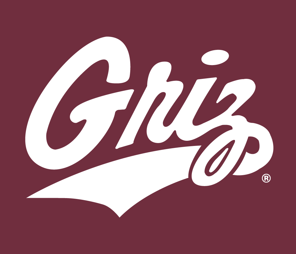 Montana Grizzlies 1996-Pres Alternate Logo v7 iron on transfers for clothing